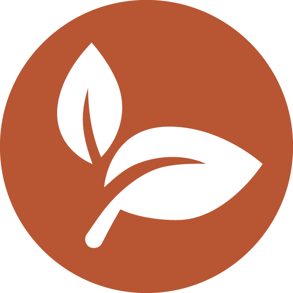 Low Order Icon