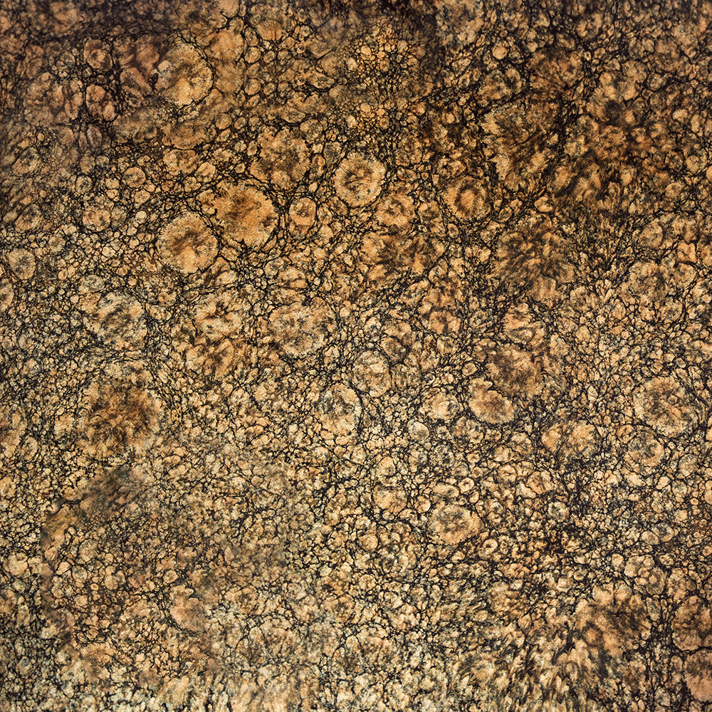 Baltic Brown Granite Epoxy Countertop Kit