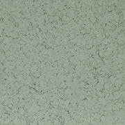 Jasper Flake