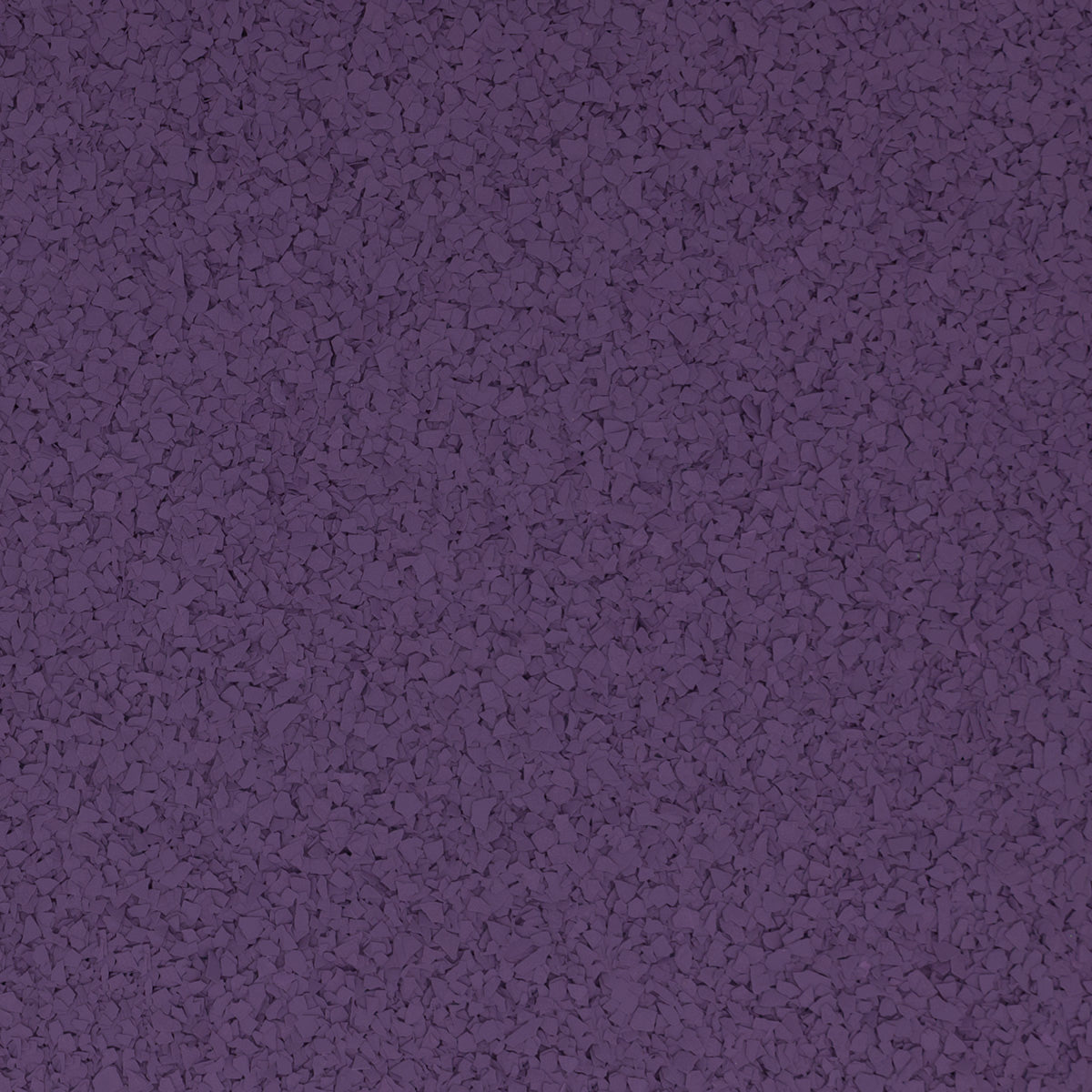 African Violet Flake