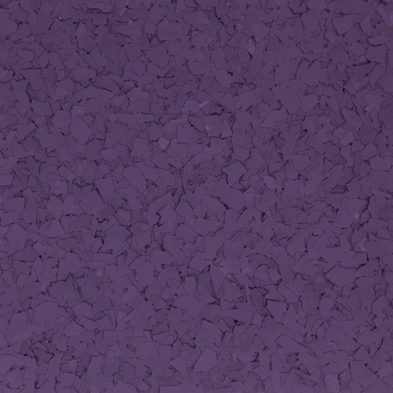 African Violet Flake