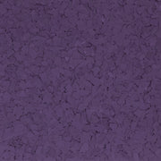 African Violet Flake