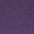 African Violet Flake