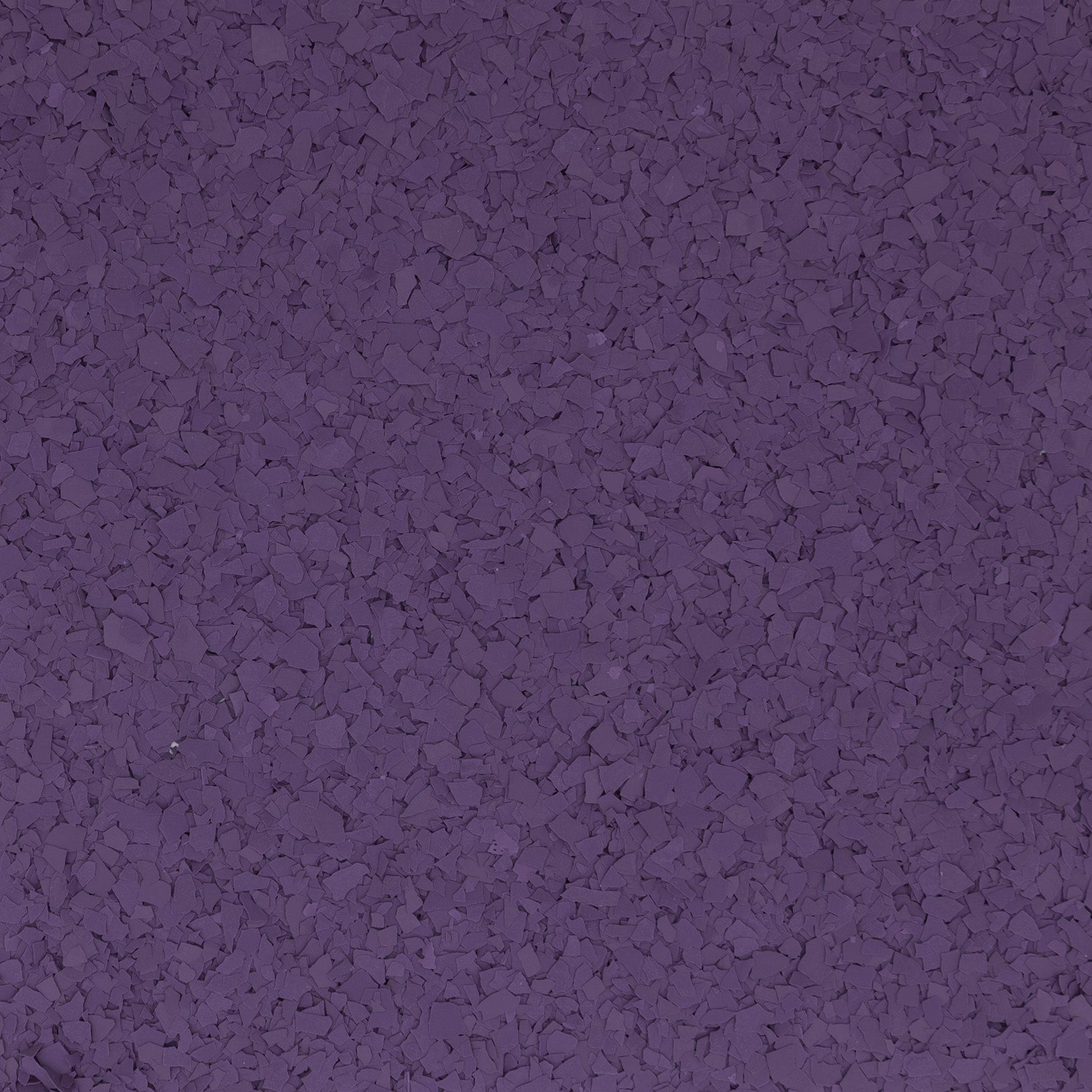 African Violet Flake