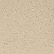 Cornmeal Flake