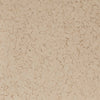 Cardboard Flake