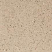 Cardboard Flake