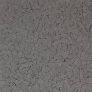 Dolphin Flake