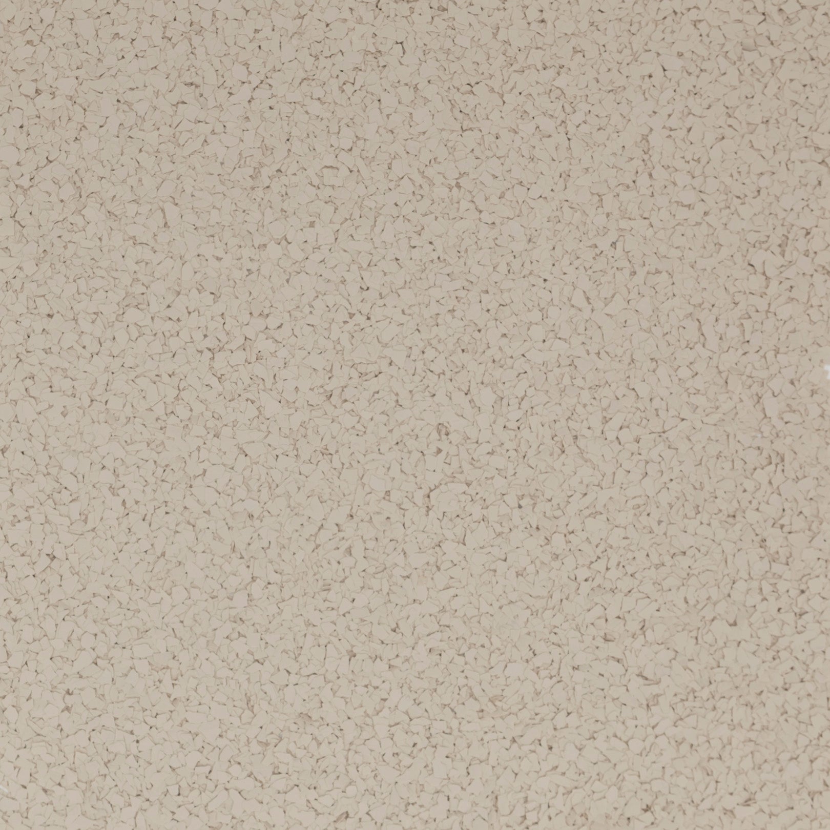 Fossil Flake
