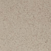 Fossil Flake