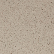 Fossil Flake