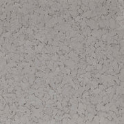 Stone Flake