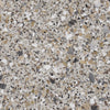 Quartzite Flake