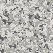 Snowfall Flake